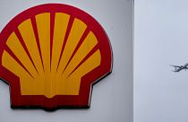 Shell shareholders have agreed to back a resolution co-ordinated by Dutch shareholder activists Follow This. 
