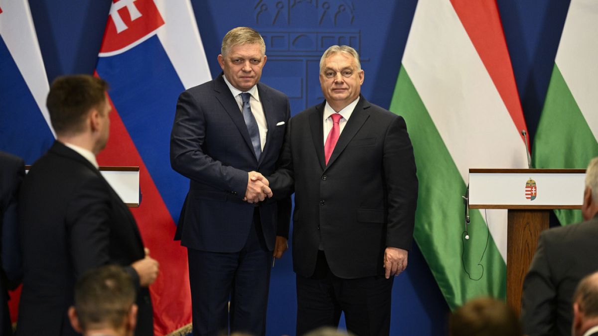 Punto del contendere Aiuti all'Ucraina: Slovacchia e Ungheria collaborano