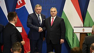 Ungarn und die Slowakei sind sich einig: Die EU sollte ein geplantes Hilfspaket für Kiew in Höhe von 50 Milliarden Euro nicht aus dem gemeinsamen Haushalt finanzieren.