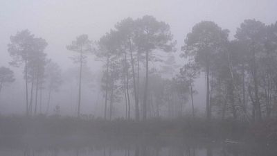 El humo se eleva desde un incendio forestal cerca de Gironda, Francia.