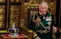 What is the (shocking) price tag for King Charles III’s official portrait for UK public buildings? 