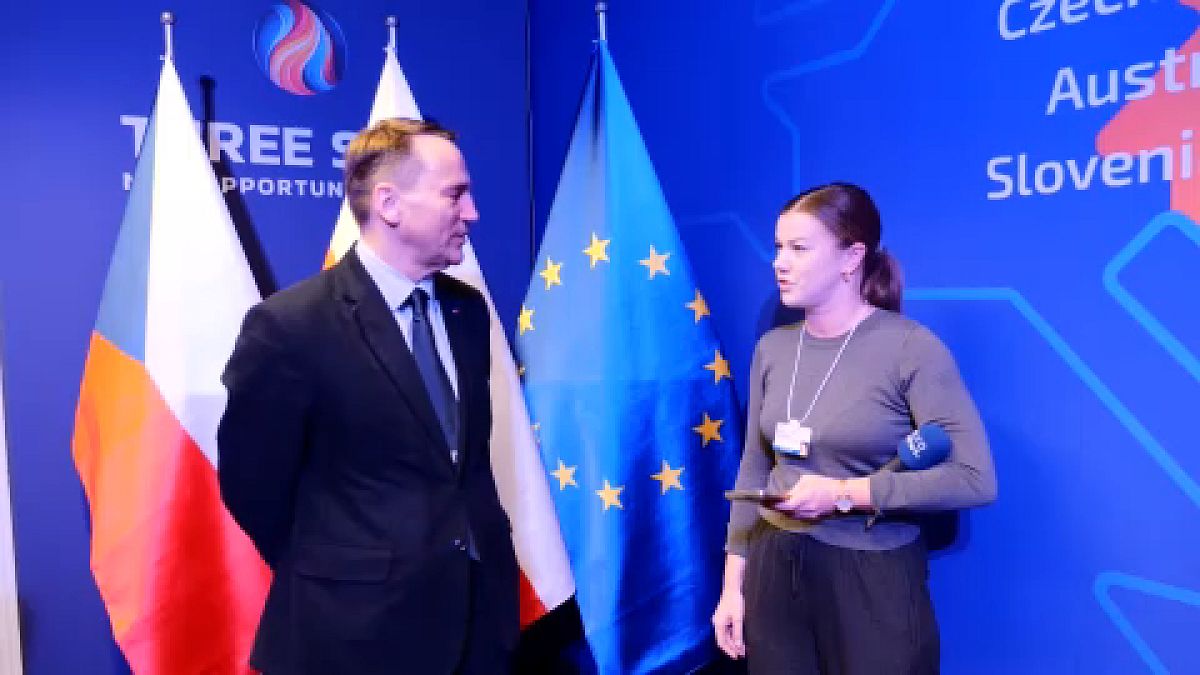 Radek Sikorski lengyel külügyminiszter és Sasha Vakulina, az Euronews tudósítója Davosban