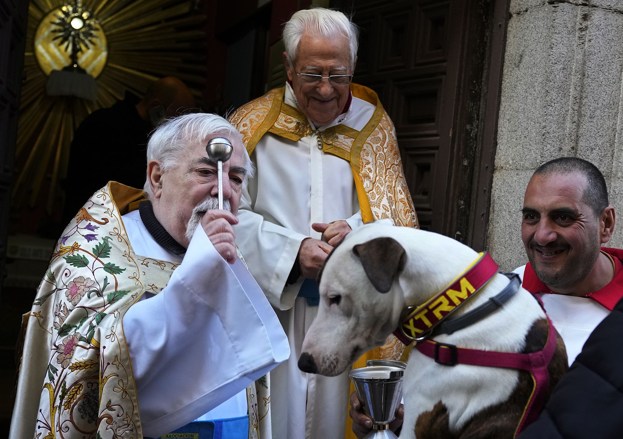 Video. Cani e gatti in chiesa a Madrid, la benedizione per un 2024 in  salute | Euronews