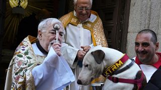 مباركة الحيوانات في إسبانيا بمناسبة الاحتفال بعيد القديس أنتوني أبوت