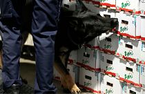  A customs agent works with a drug sniffer dog in the Port of Antwerp on Wednesday, Aug. 17, 2022. 
