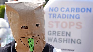 An activist covers her head with a paper bag during a climate protest in Jakarta, Indonesia, Friday, Nov. 5, 2021. 