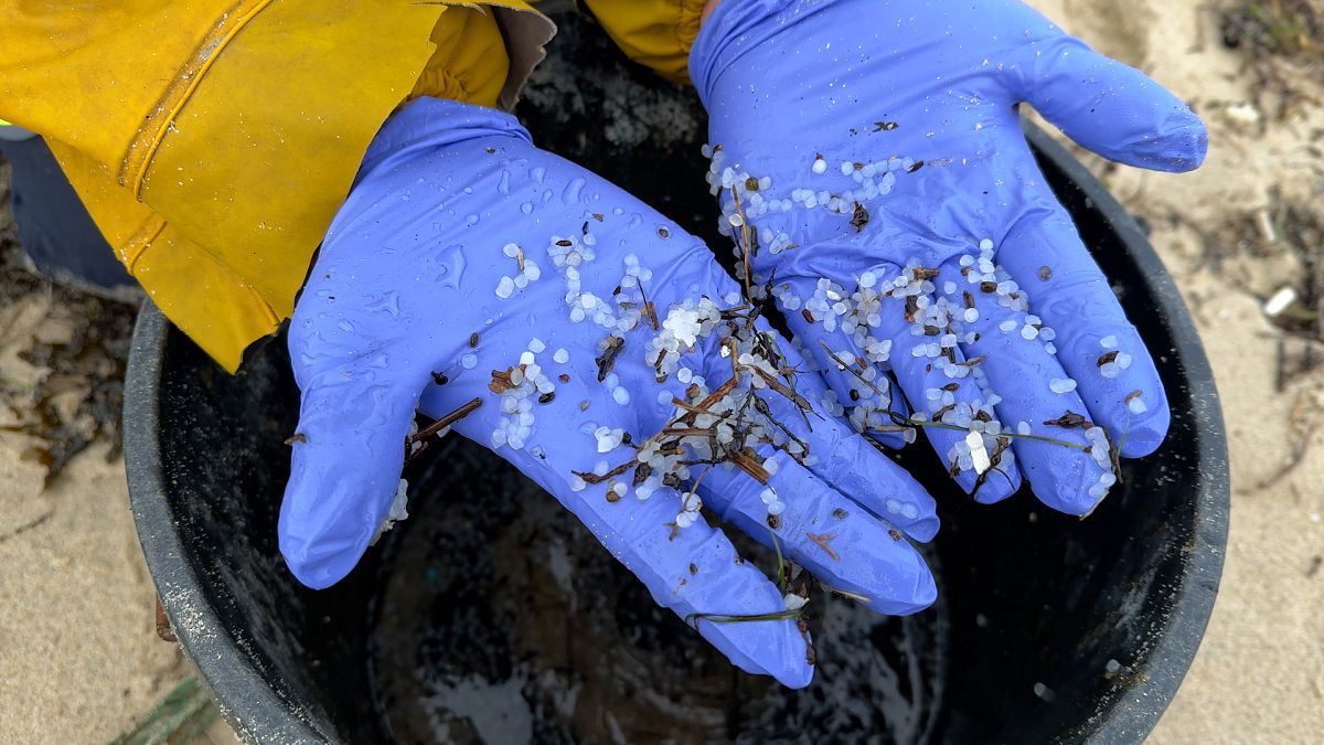 Pequenas bolas de plástico encontradas na costa da Galiza