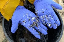 Kleine Plastikkügelchen verschmutzen die Strände an Spaniens Atlantikküste