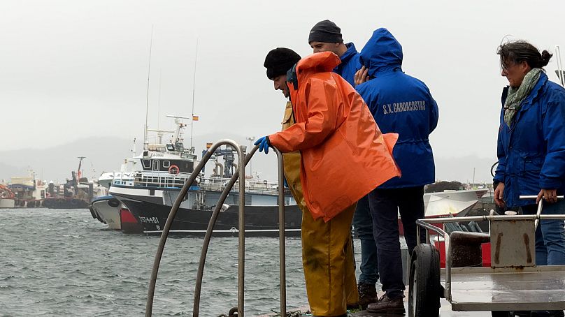 Inspectores de la Xunta vigilan la descarga de marisco en la Lonja de Cambados