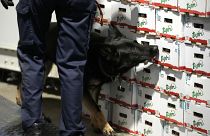 Kutyával keresik a drogot a vámosok Antwerpenben