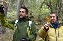 Meet the Spanish biologists turning foraging into fine art