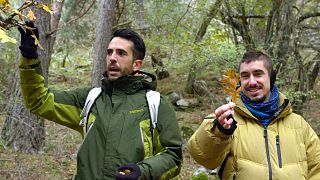 Meet the Spanish biologists turning foraging into fine art