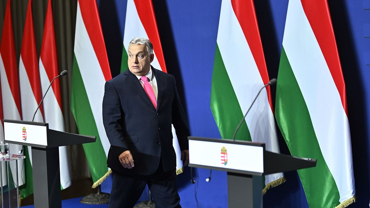 Премьер-министр Виктор Орбан на фоне венгерского флага