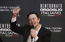 Tesla and SpaceX's CEO Elon Musk cheers as he speaks at the annual political festival Atreju, in Rome on Dec. 16, 2023. 