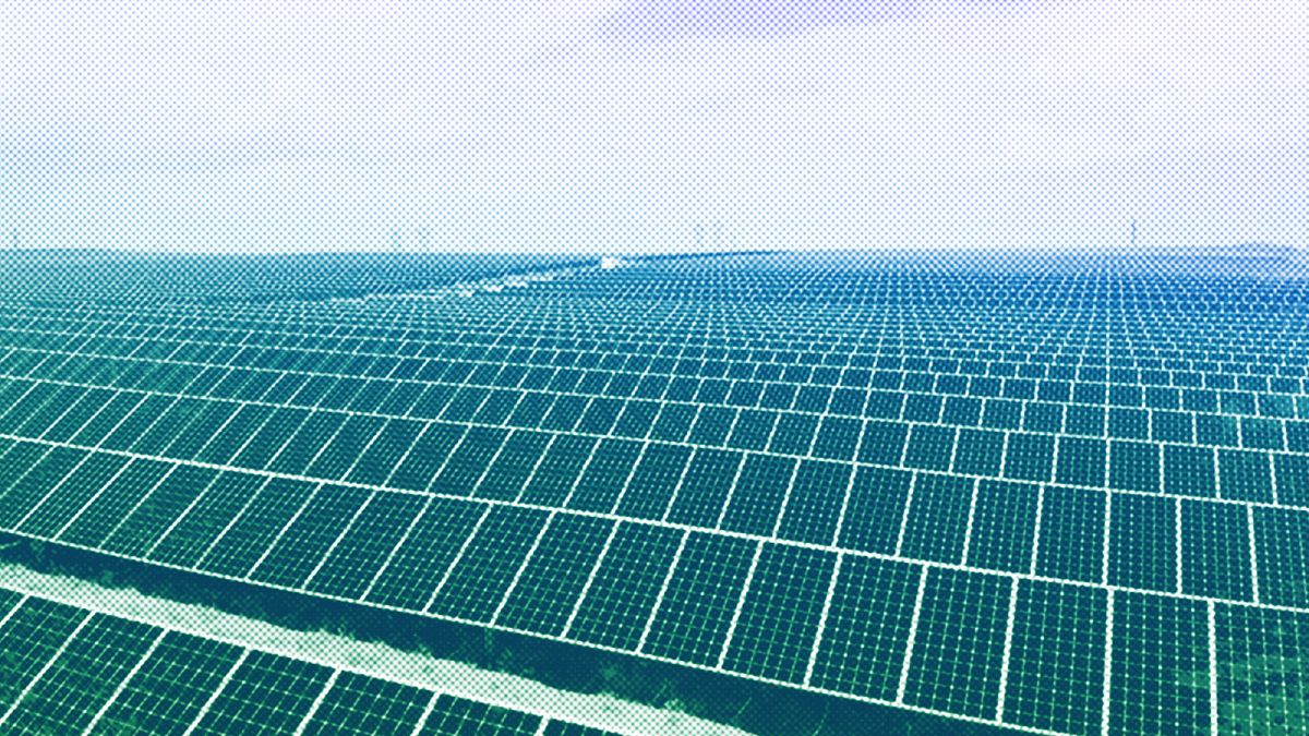 Um parque solar a oeste de Rio Rancho, NM, junho de 2021