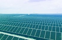 Ein Solarpark westlich von Rio Rancho, NM, USA, Juni 2021