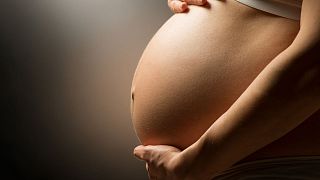 Scientists have grown "mini-placentas" in the lab to study how major pregnancy disorders develop.