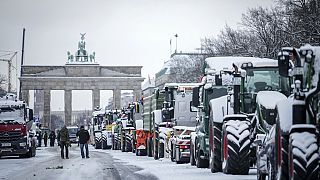 German farmers protest plans to scrap tax breaks on diesel. EU scientists now call for an end to all fossil fuel subsidies and drastic cuts to greenhouse gases from farms.