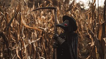 بازسازی «دکتر طاعون»، طبیبان طاعون با ماسک منقارنشان در قرون وسطی
