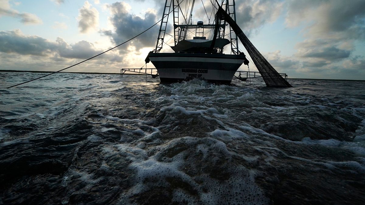 Scientists reveal how trawling the bottom of the ocean could