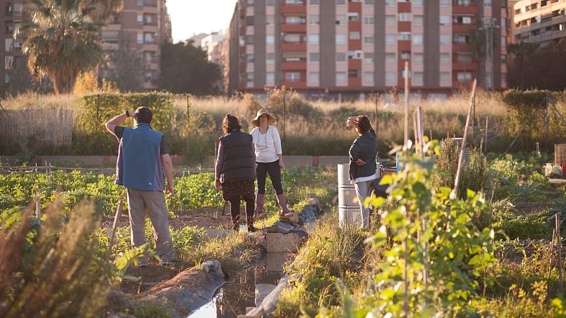 Valencia is celebrating nature’s ‘pantries’ in its year as Europe’s green capital city.