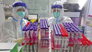 Virolog Dr. Lili Ren'in, ABD hükümeti tarafından işletilen bir veri tabanına Covid-19'un yapısının neredeyse tamamını 28 Aralık 2019'da yüklediği