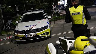 Polizia in Danimarca