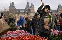 بازار گل لاله هلند