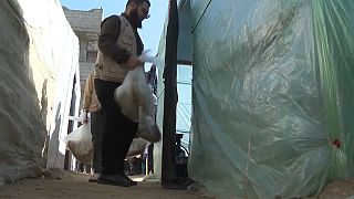 توزيع الخبز في غزة