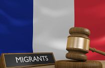 اعتراض ها به اصلاحات قانون مهاجرت فرانسه