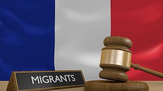 اعتراض ها به اصلاحات قانون مهاجرت فرانسه