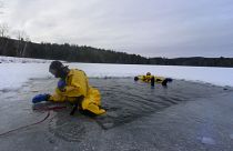 Спасатели Беллоуз-Фоллс, штат Вирджиния, проводят тренировку в холодной воде на пруду Минарда, январь 2024 г.