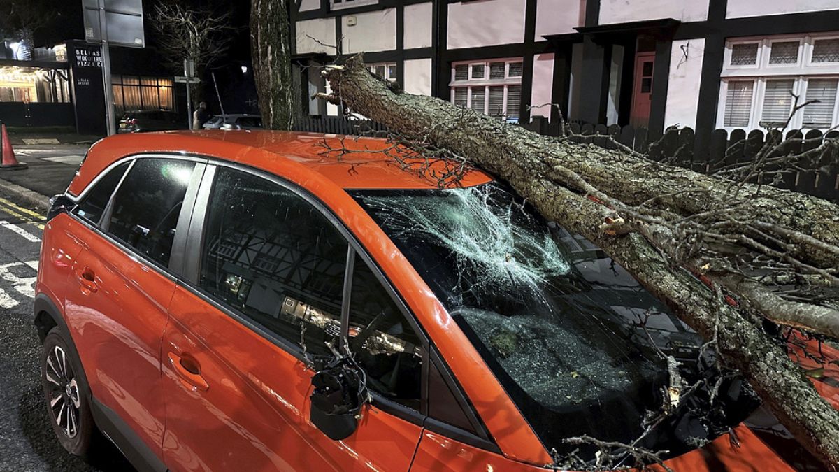 La rama de un árbol cayó sobre un automóvil en Lisburn Road en Belfast, Irlanda del Norte, durante la tormenta Isha, el domingo 21 de enero de 2024.