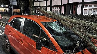 La rama de un árbol cayó sobre un automóvil en Lisburn Road en Belfast, Irlanda del Norte, durante la tormenta Isha, el domingo 21 de enero de 2024.