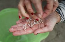 Une bénévole montre les granulés de plastique ramassés sur la plage de Nigrán, dans le nord de l'Espagne, le 9 janvier 2024.