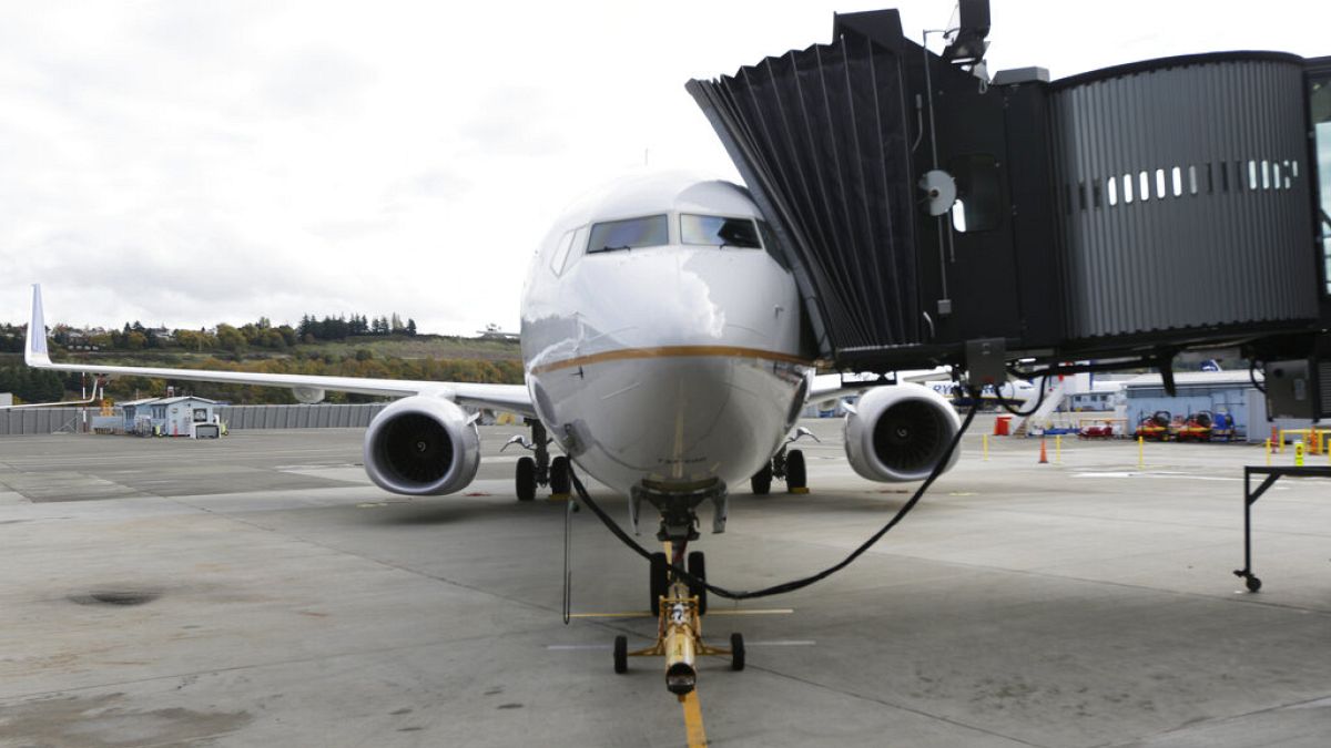 Boeing 737-900ER Seattle'da United Airlines'a teslim edilirken/ Arşiv