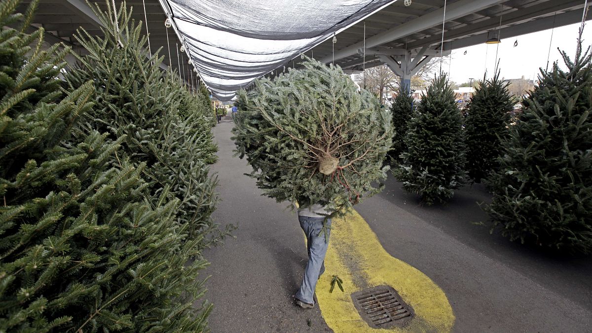موظف يحمل شجرة مقطوعة حديثًا لأحد العملاء في كارولاينا الشمالية