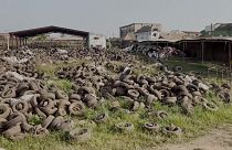 Used tyres at Freee Recycle company