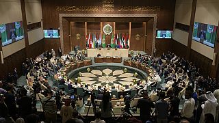 Guerre Israël-Hamas : la Ligue Arabe appelle encore à l'aide pour Gaza
