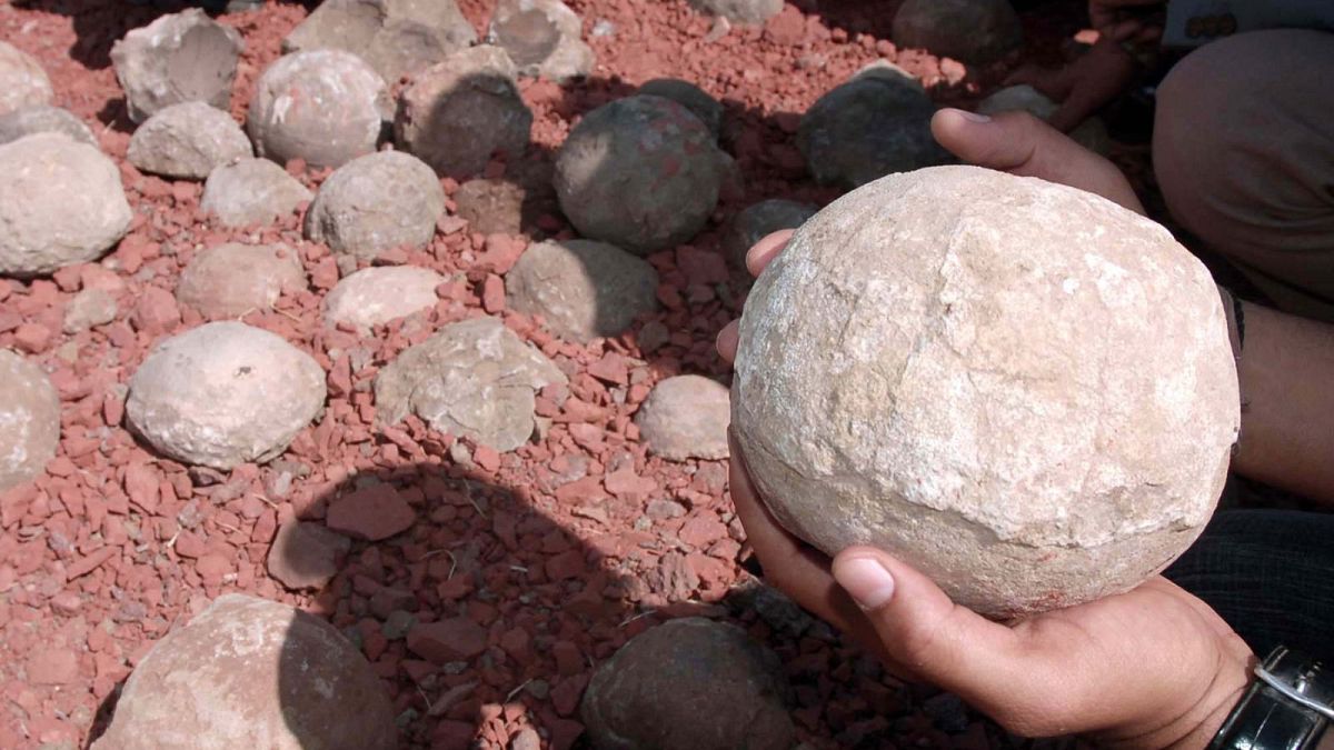 تخم‌های دایناسور پیدا شده در بهوپال هند. عکس: آرشیو
