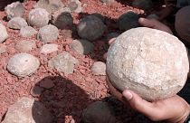 تخم‌های دایناسور پیدا شده در بهوپال هند. عکس: آرشیو
