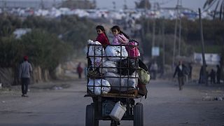 Palestinos que huyen de Jan Yunis, debido a la ofensiva terrestre y aérea que lleva a cabo Israel en la Franja de Gaza, llegan a Rafah, en el sur de Gaza.