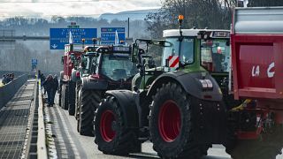Une autoroute bloquée par un convoi d'agriculteurs mardi 23 janvier 2024 à Bayonne, dans le sud-ouest de la France.