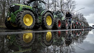 Tractores aparcados en la zona del distrito gubernamental de Berlín, Alemania, el lunes 15 de enero de 2024, antes de una manifestación.
