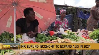 Burundi: Economy to expand by 4.3% in 2024 buoyed by agriculture - IMF