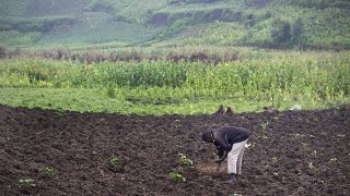 Burundi : léger rebond de l'économie attendu en 2024, selon le FMI