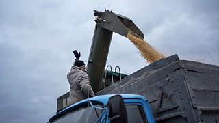 A Ucrânia é um dos principais exportadores mundiais de produtos agrícolas, incluindo milho e trigo.