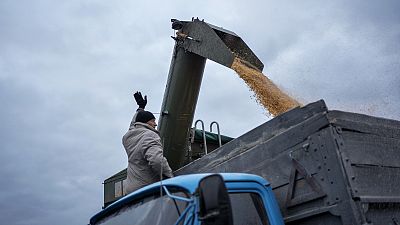 Ucrania es uno de los principales exportadores mundiales de productos agrícolas, entre ellos maíz y trigo.