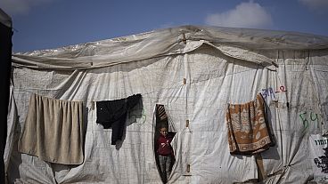 Des Palestiniens déplacés par l'offensive terrestre israélienne sur la bande de Gaza jouent dans le camp de tentes de fortune de Rafah, le mardi 23 janvier 2024.