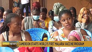 Cameroon: children receive first malaria vaccines